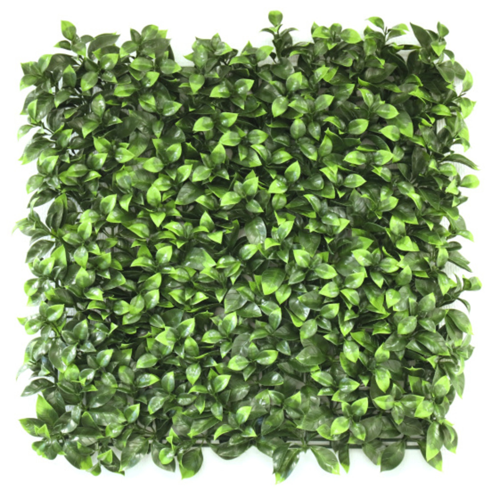 Mur végétal synthétique - feuilles de gardénia - intérieur et extérieur - 1 m x 1 m