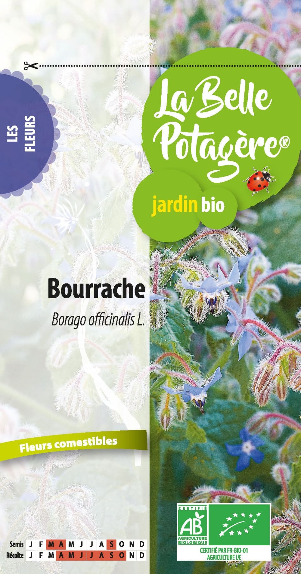 Bourrache officinale 2 g