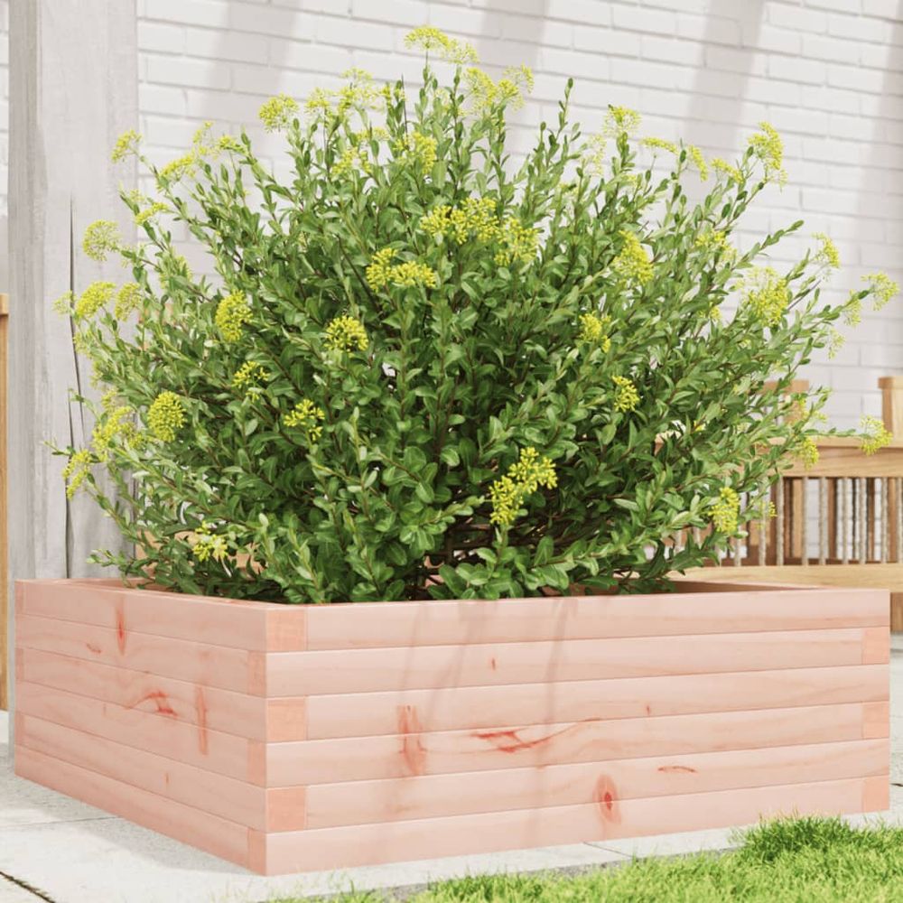 Jardinière carrée bois douglas massif pour potager extérieur 70x70cm
