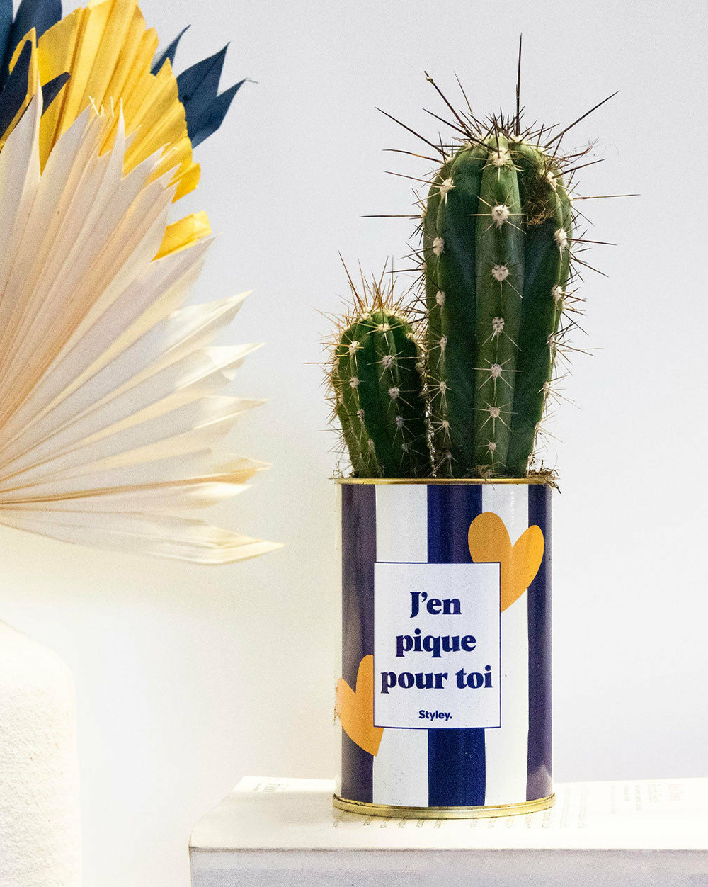 Plante personnalisée - j'en pique pour toi - plante