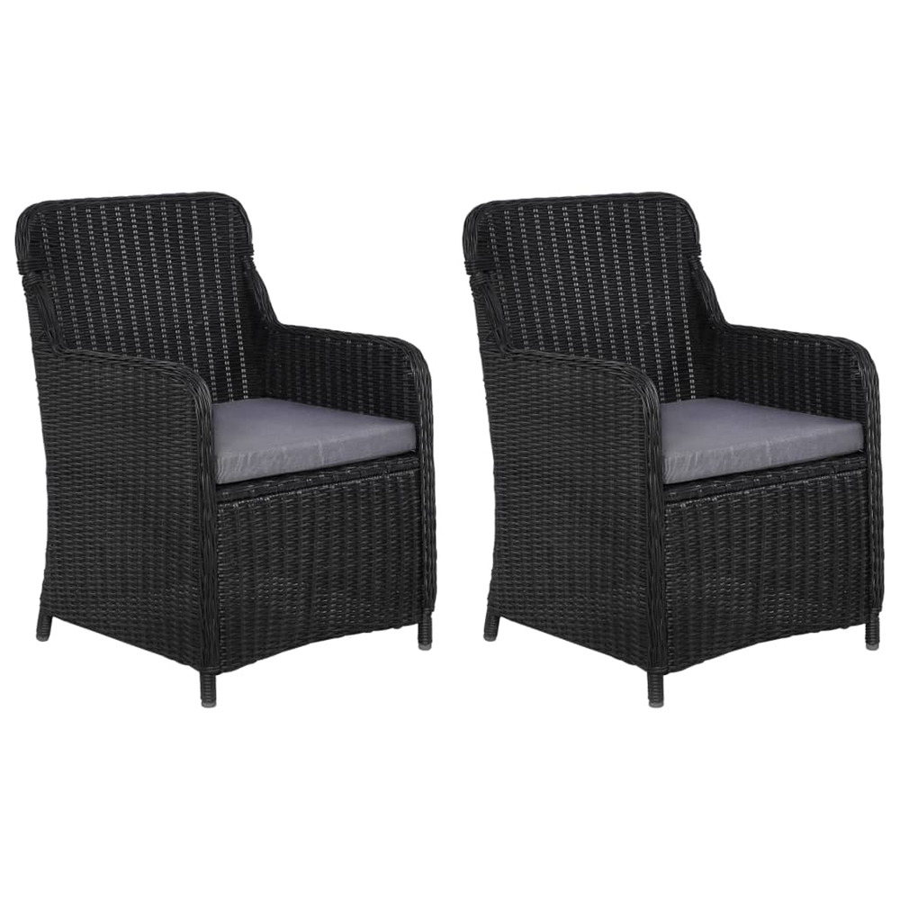 2 PCS CHAISES D EXTERIEUR AVEC-(867749)
