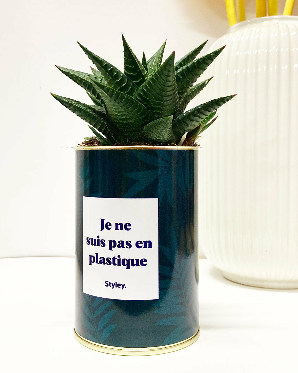 Idée cadeau - je ne suis pas en plastique - cactus