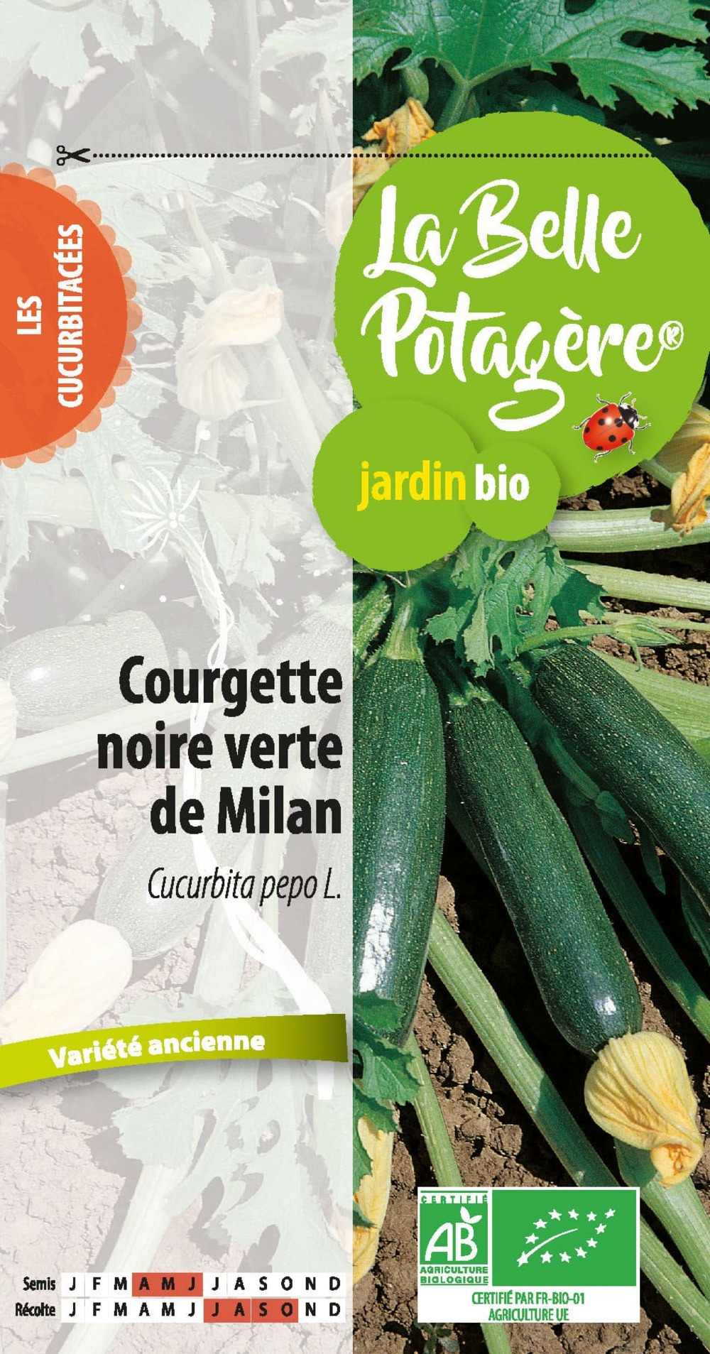 Courgette noire verte de milan 1,6 g
