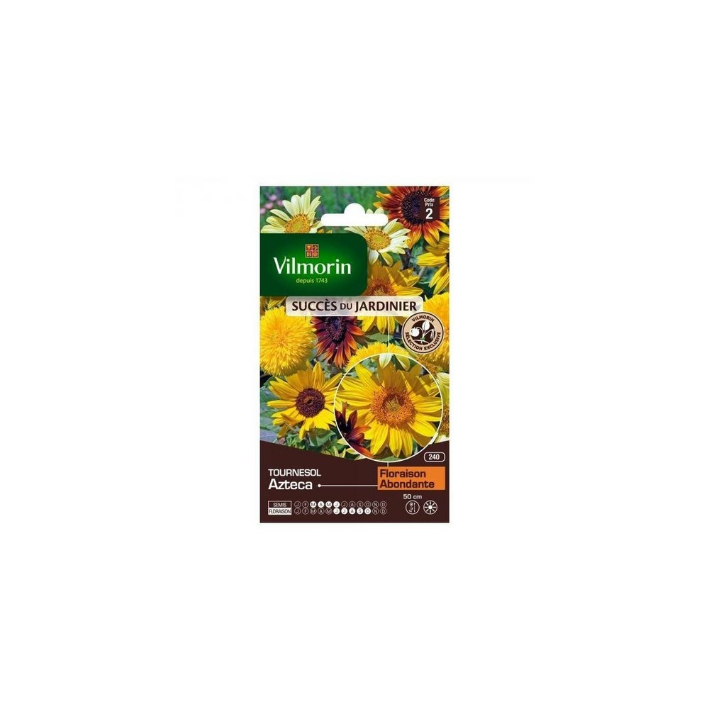 Sachet graines soleil tournesol azteca