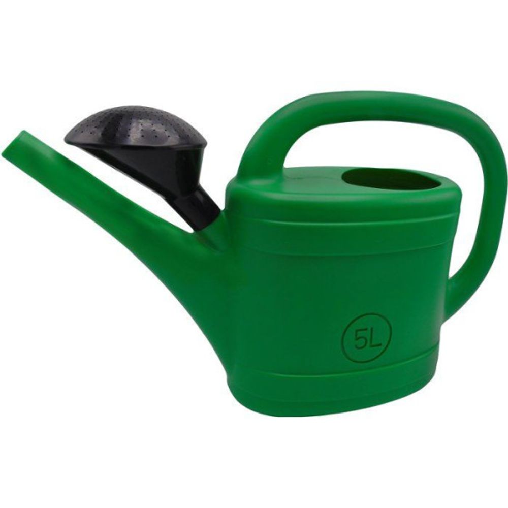 Arrosoir - - 5 l - pomme d'arrosage - vert