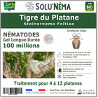 Tigre du platane-nématodes steinernema feltiae (sf)-100 millions