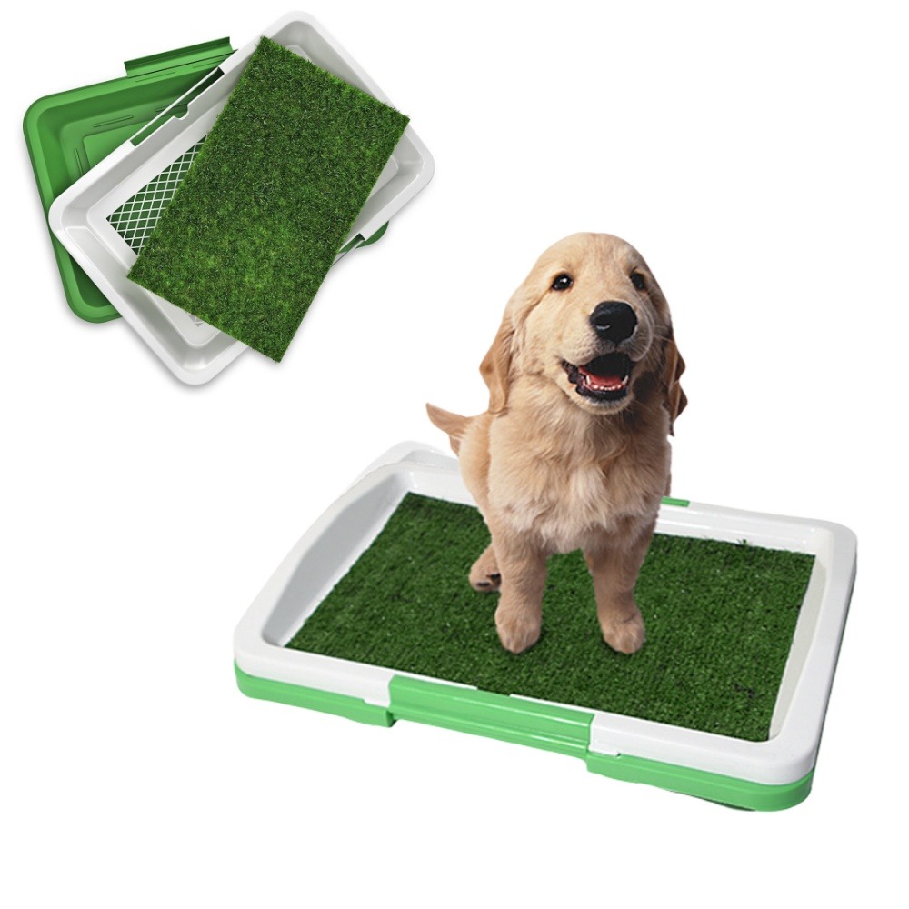 Toilette pour chien dtopbuyage lawn