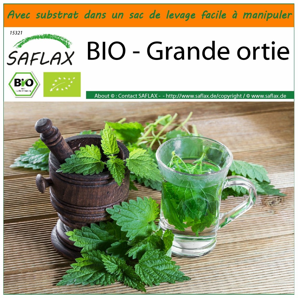 Garden in the bag - bio - grande ortie - 2000 graines - urtica dioica