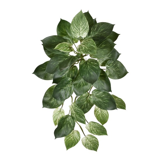 Pendentif philodendron birkin 65cm