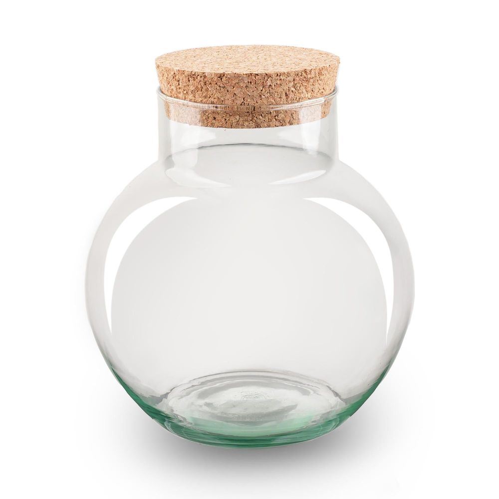 Terrarium bouteille terrarium avec bouchon liège - noah - ↑ 20 cm - terrarium diy