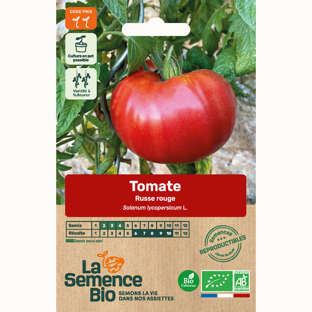 Tomate russe rouge bio