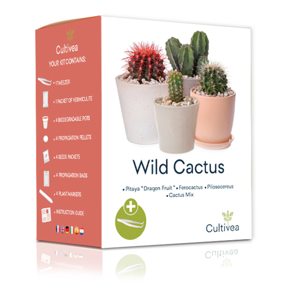 Cultivea mini kit prêt à pousser cactus - pitaya “ dragon fruit “, ferocactus, pilosocereus et cactus mix