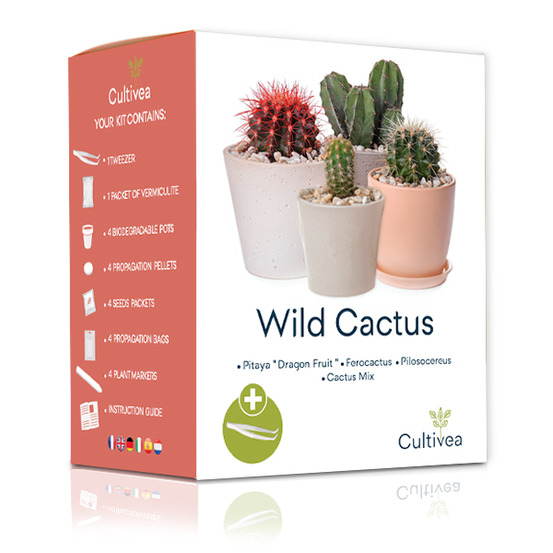 Kit Prêt à Pousser Cactus - Pitaya “Fruit du Dragon “, Ferocactus, Pilosocereus et Cactus mix - Idée Cadeau