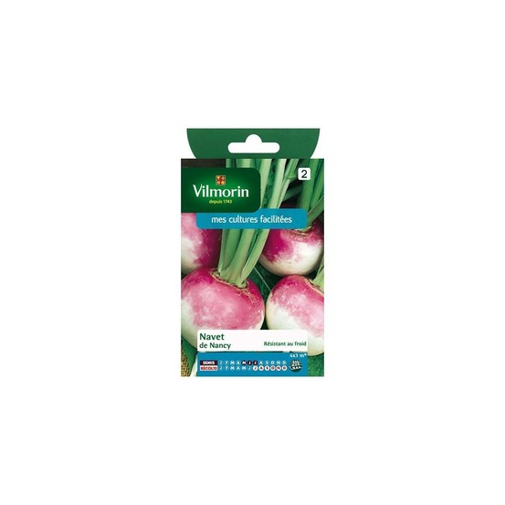 Sachet graines navet de nancy