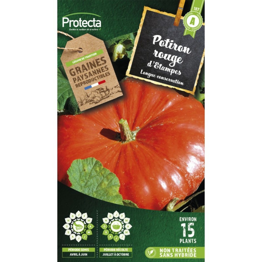 Graines paysannes - potiron rouge vif d'etampes