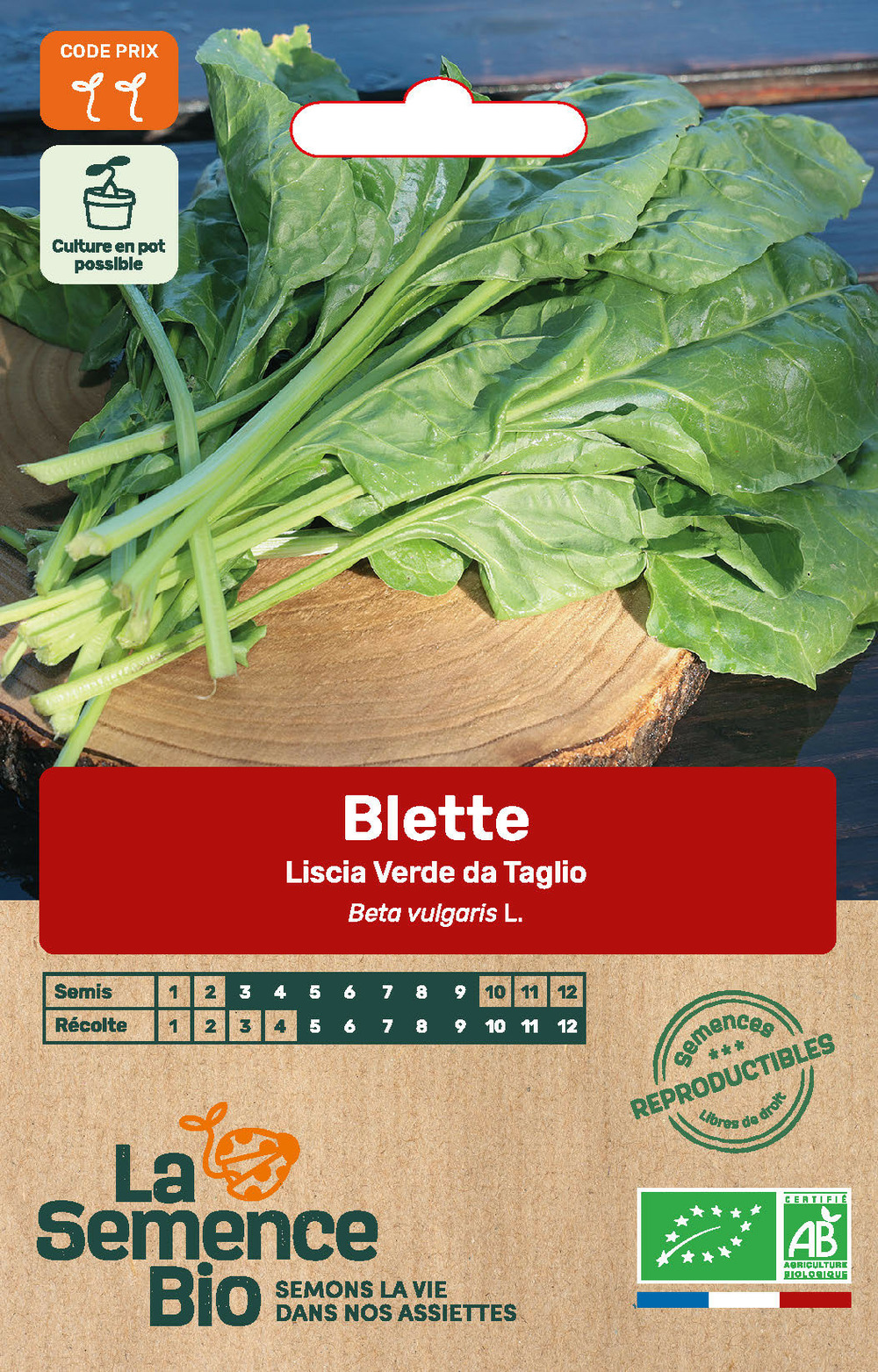 Blette liscia verde da taglio - graines bio