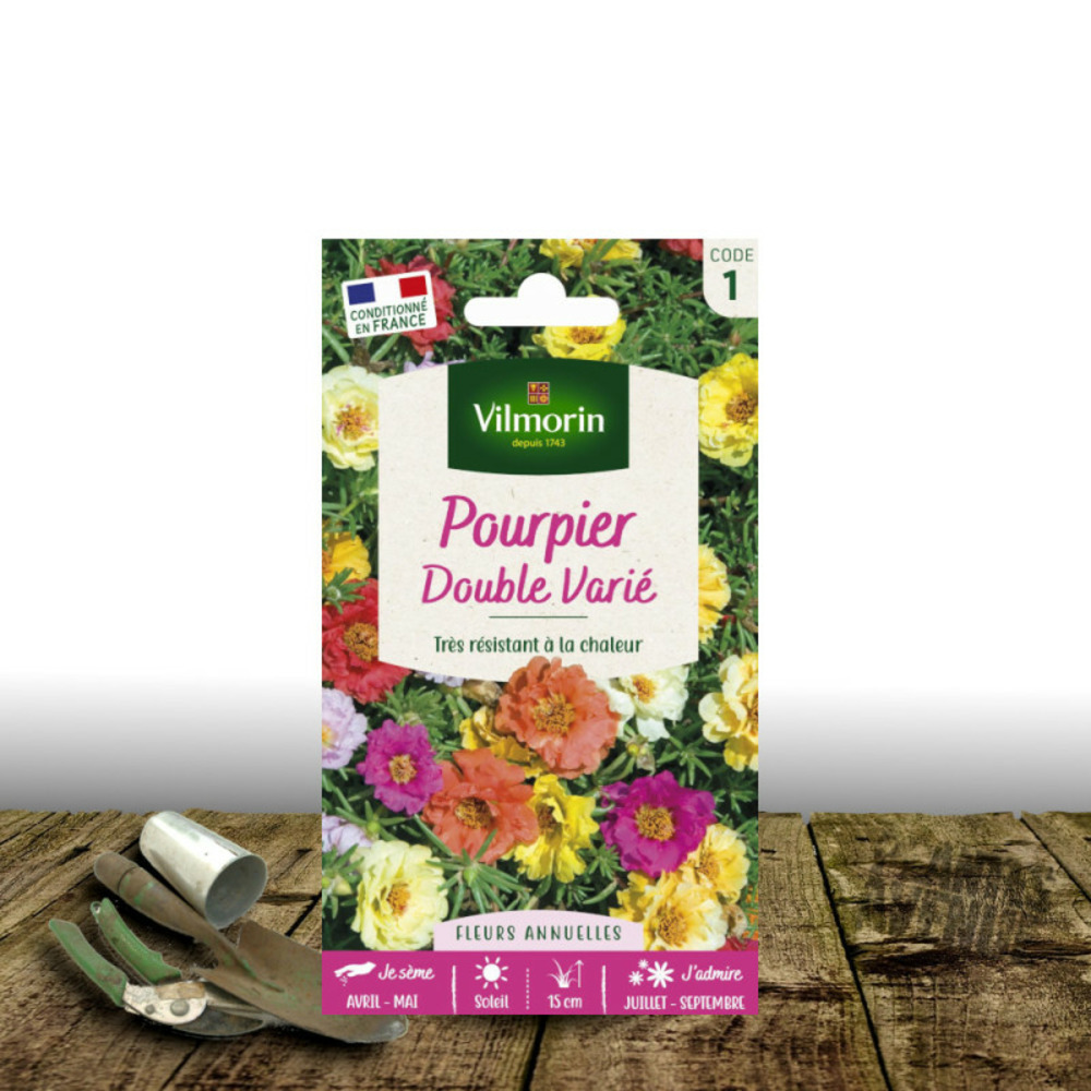 Graines de pourpier double varié - vilmorin sachet