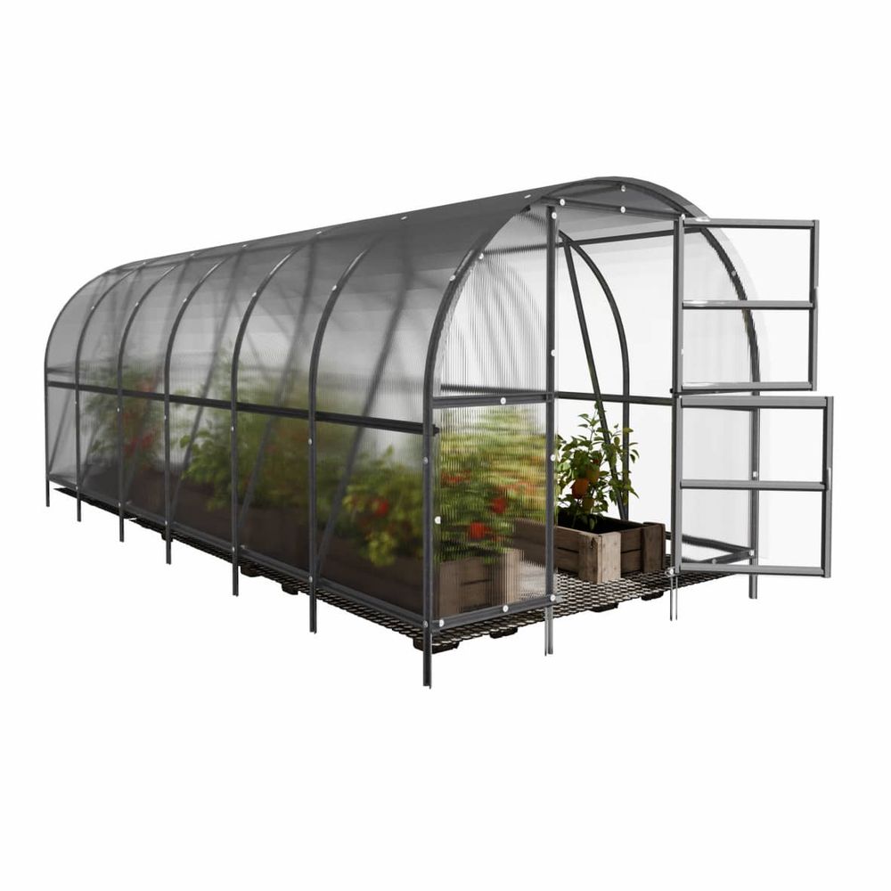 Serre en polycarbonate baltic lt premium 18m² (3x6m), 6mm, pack 7 accessoires