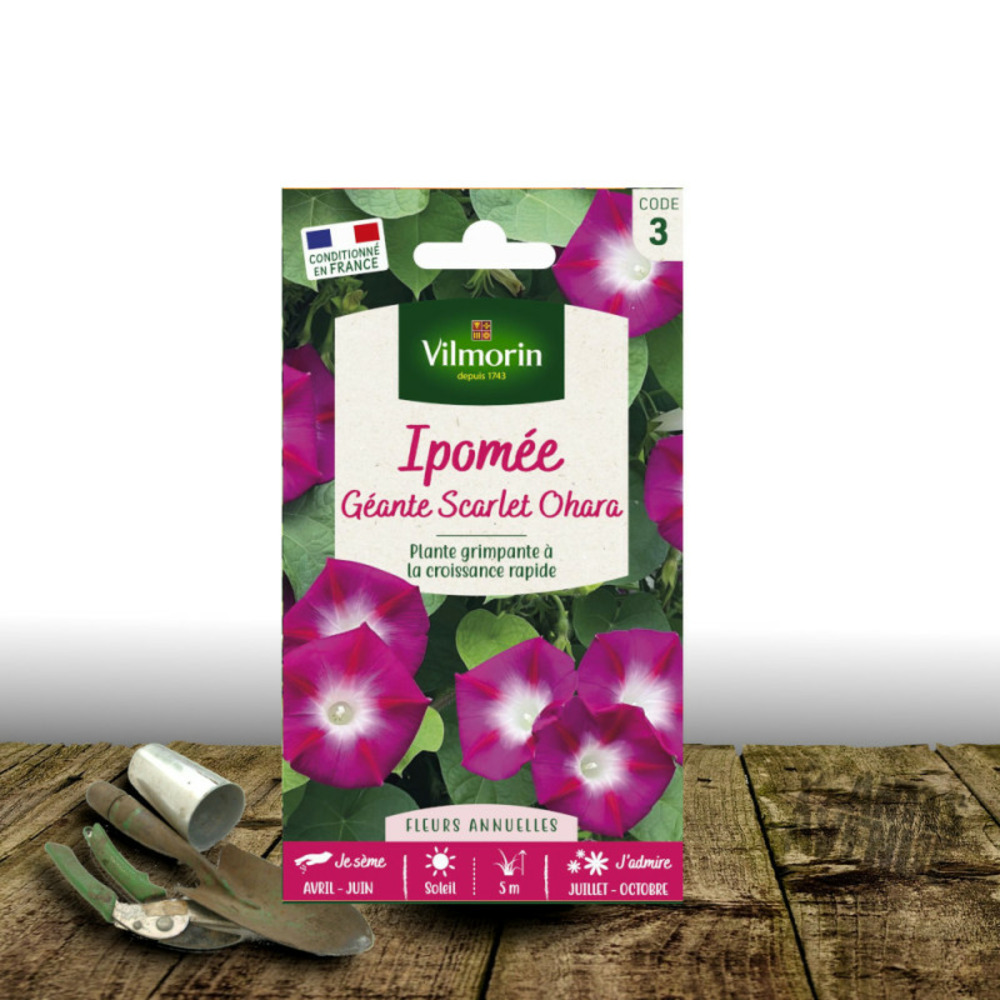 Graines d'ipomée scarlet o'hara - vilmorin sachet de 3 gr.
