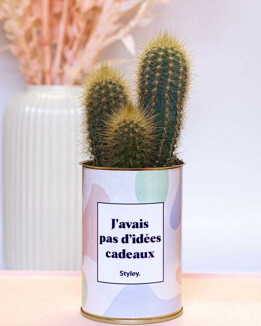 Plante personnalisée - j'avais pas d'idées cadeaux - cactus