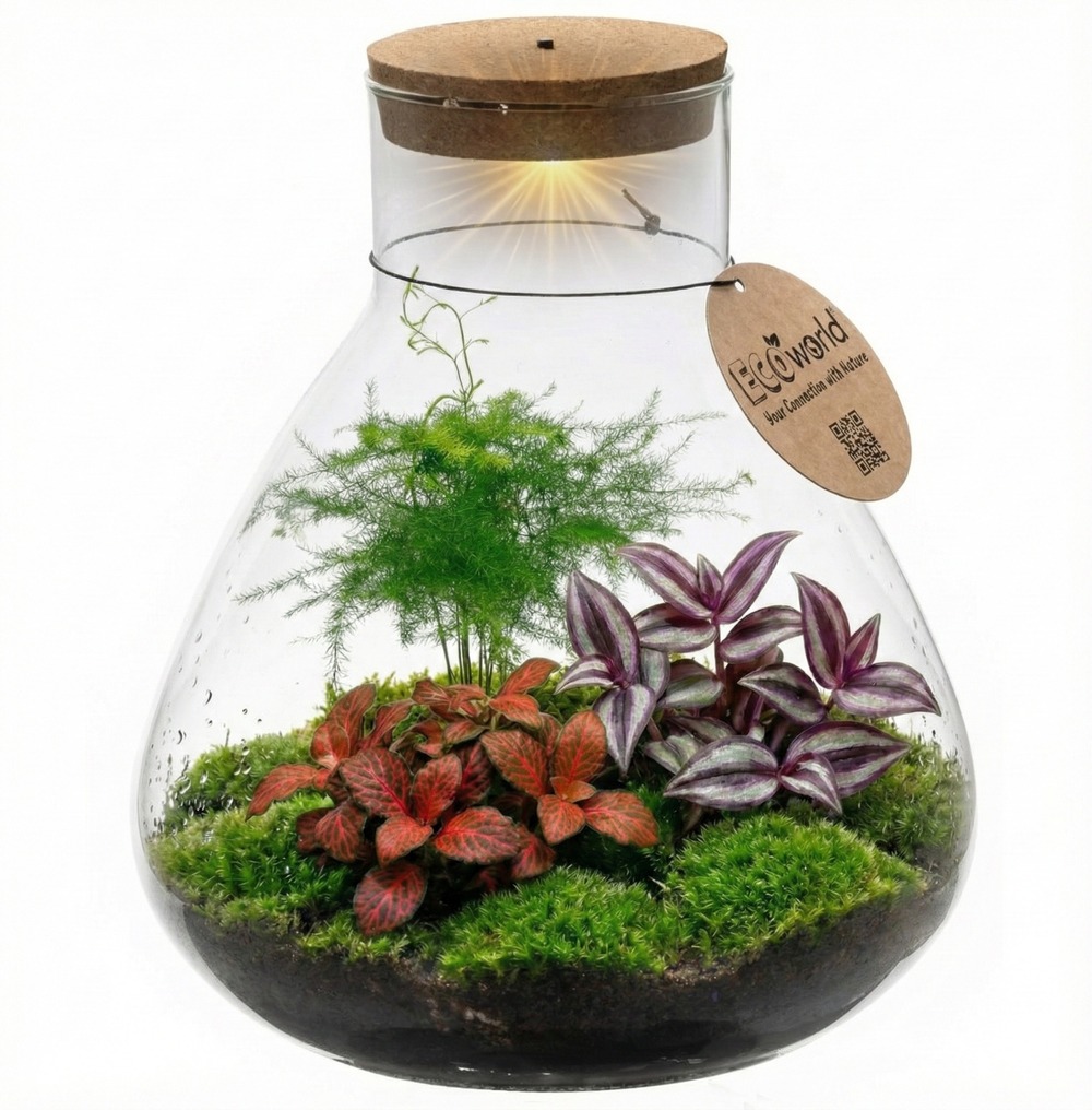 Terrarium pour plantes ø 30 cm - écosystème fermé en verre