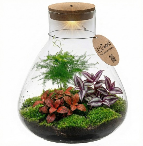 Terrarium pour plantes ø 30 cm - écosystème fermé en verre