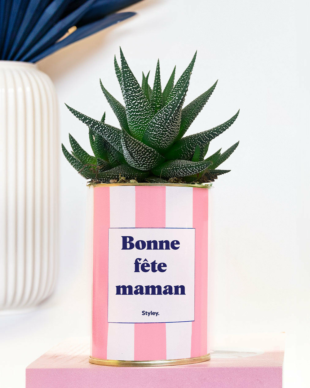 Plante personnalisée - bonne fête maman