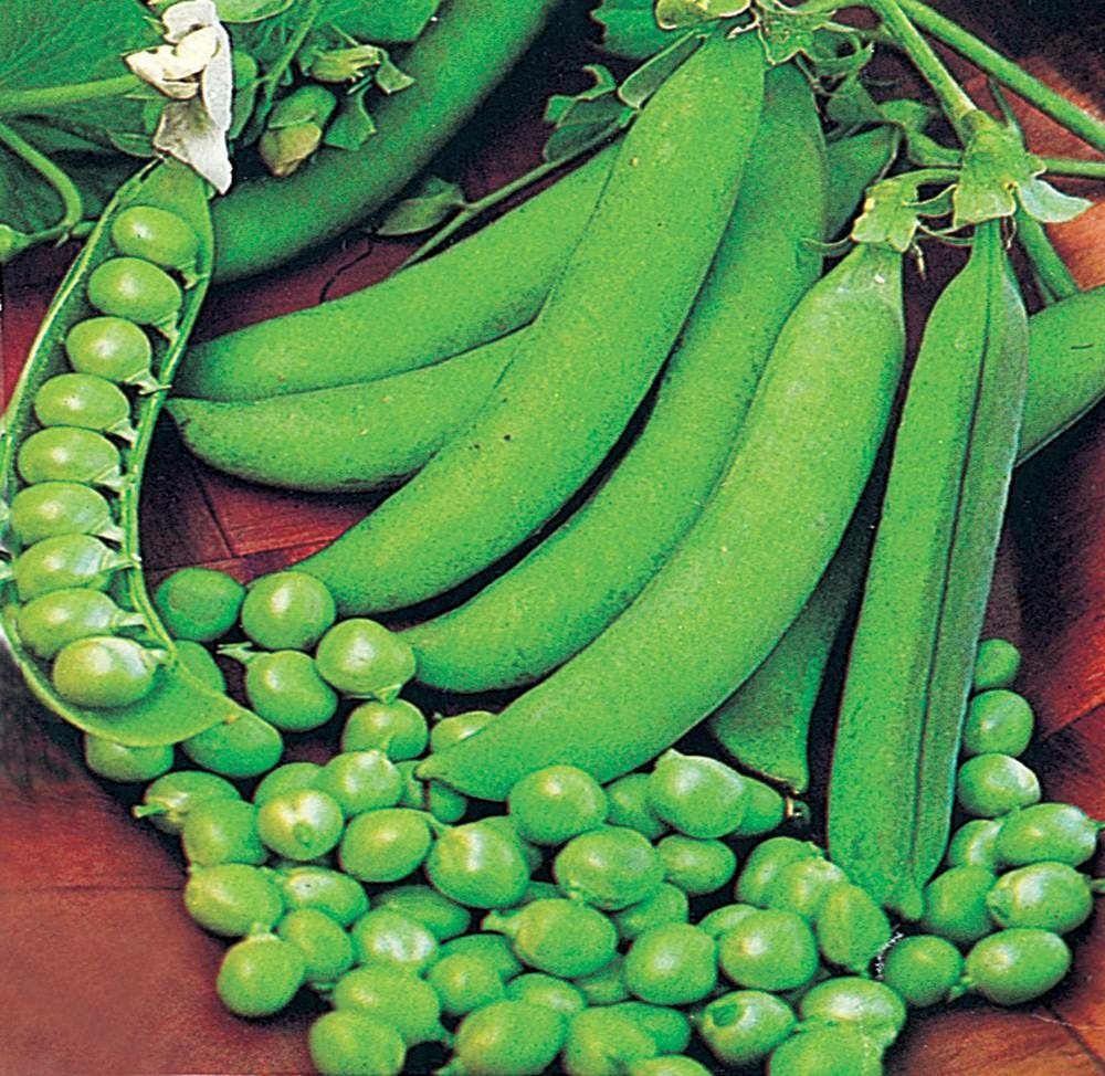 Pois plein le panier - 150 g