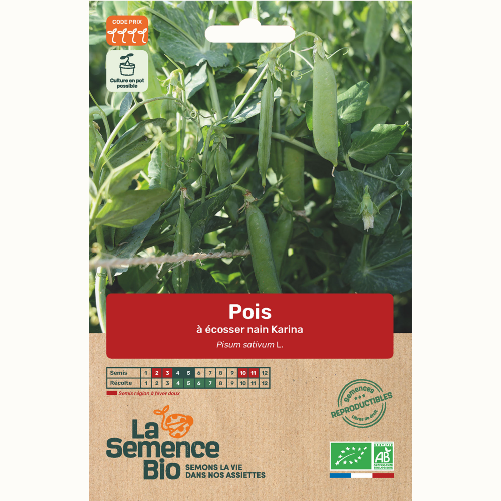 Pois nain à écosser karina - graines bio