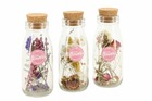 Lot de 3 fleurs séchées dans des bouteilles en verre - bouquet de séchage