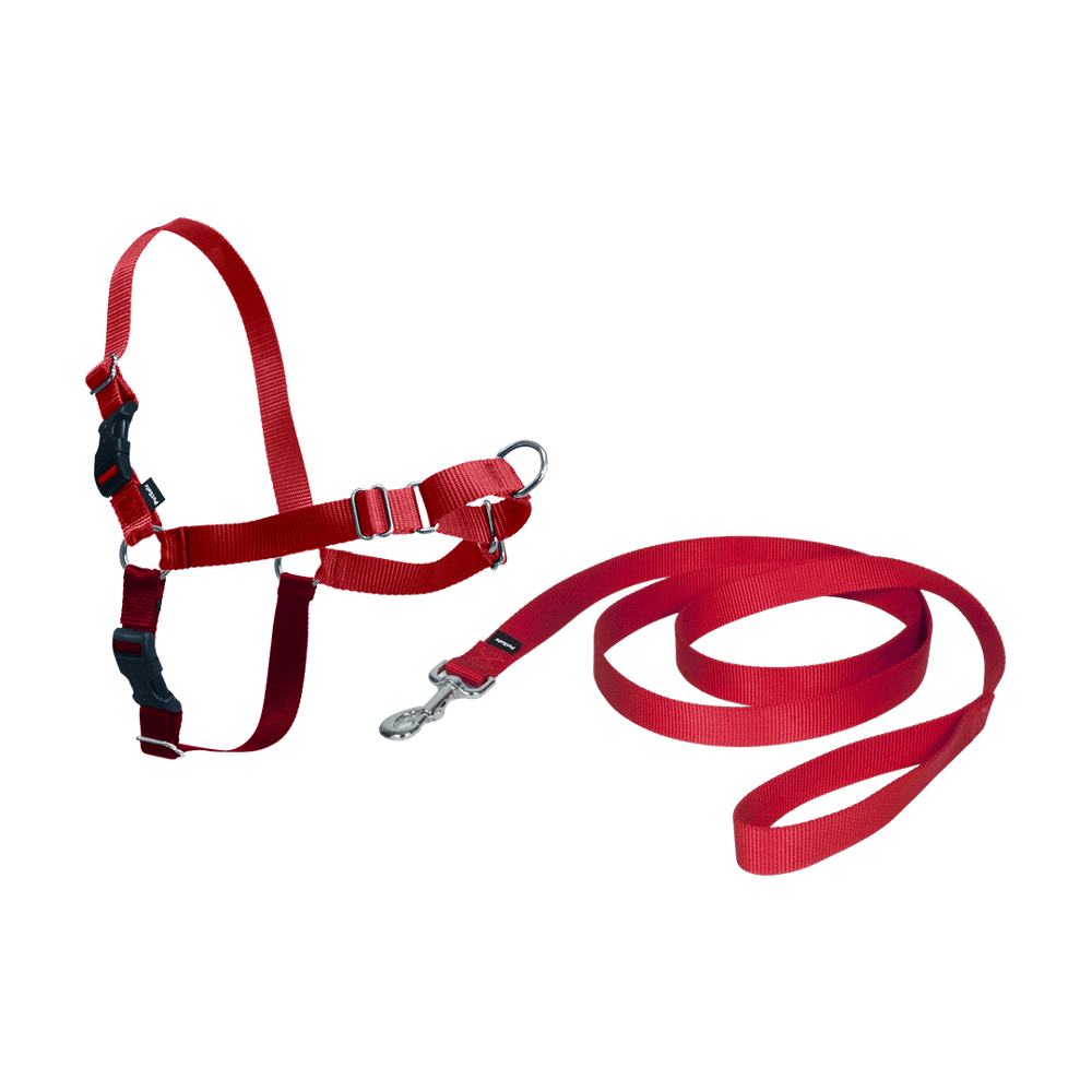 Harnais easy walk chien - xl rouge