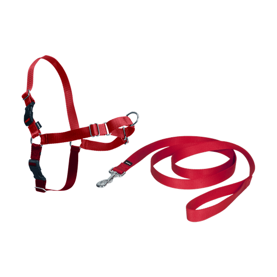Harnais easy walk chien - xl rouge