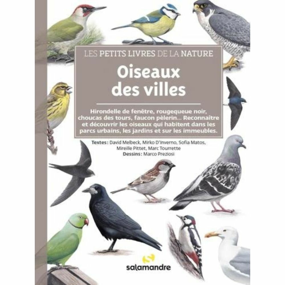 Les petits livres de la nature - oiseaux des villes