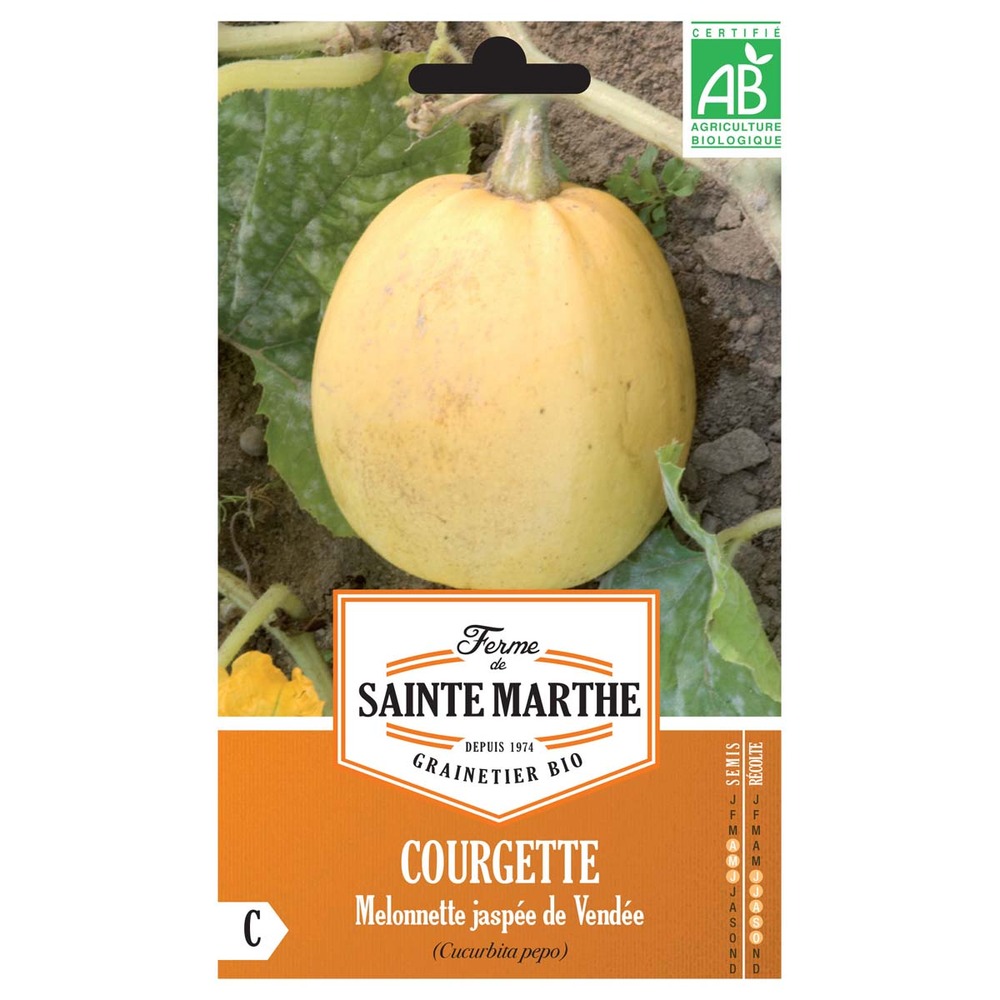 Courge 'melonnette jaspée de vendée' le sachet de 10 graines environ (2g)