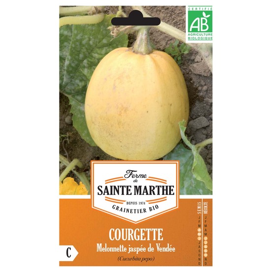Courge 'melonnette jaspée de vendée' le sachet de 10 graines environ (2g)