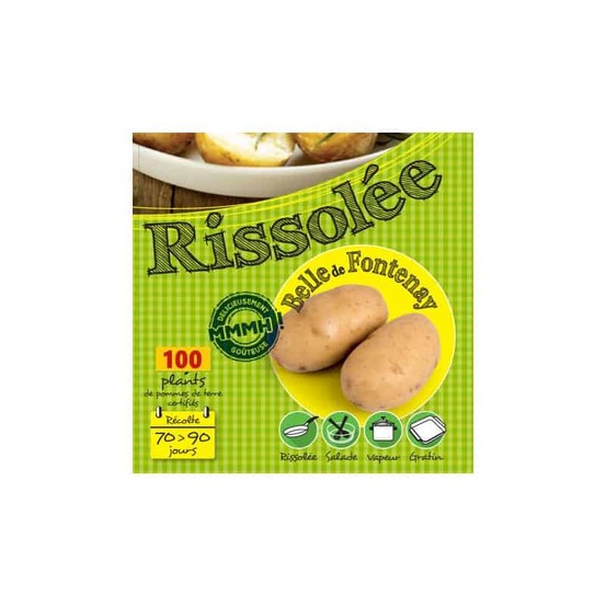 Belle de fontenay 100 plants de pomme de terre