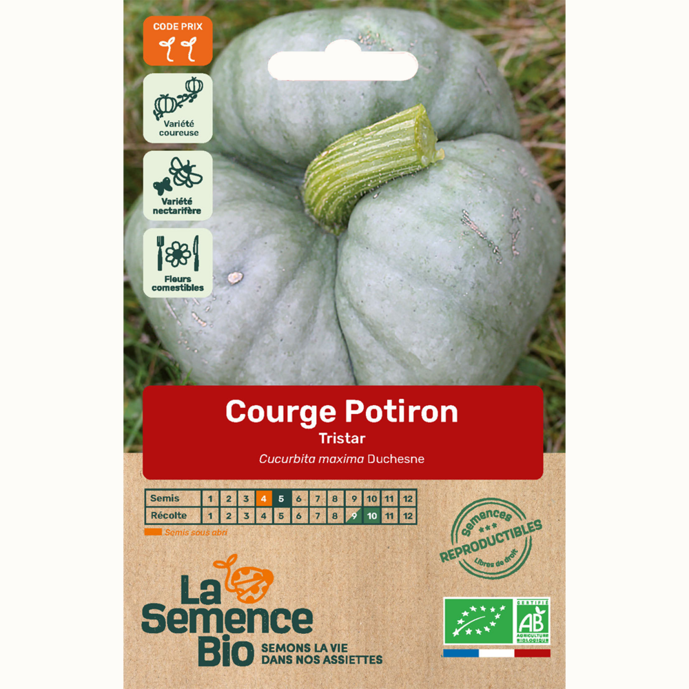 Courge potiron tristar - graines bio