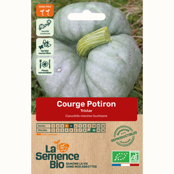 Courge potiron tristar - graines bio
