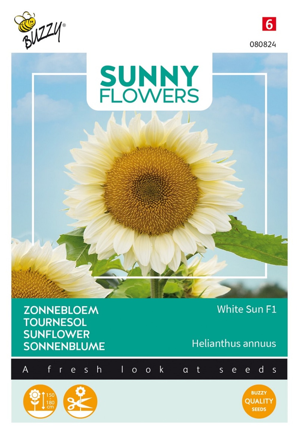 Buzzy sunny flowers, tournesol white sun f1 - ca. 6 graines (livraison gratuite)