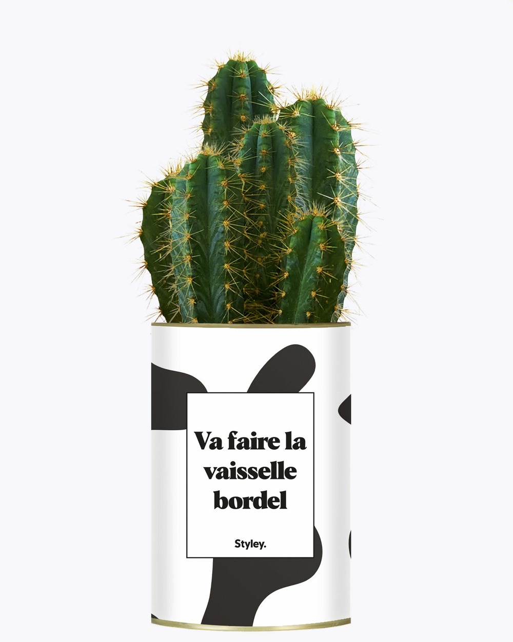 Plante personnalisée - va faire la vaisselle bordel - cactus