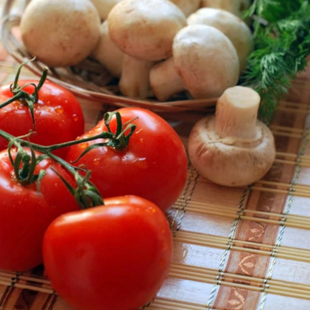 Plant de tomate saint pierre hf1 godet - 5/20 cm