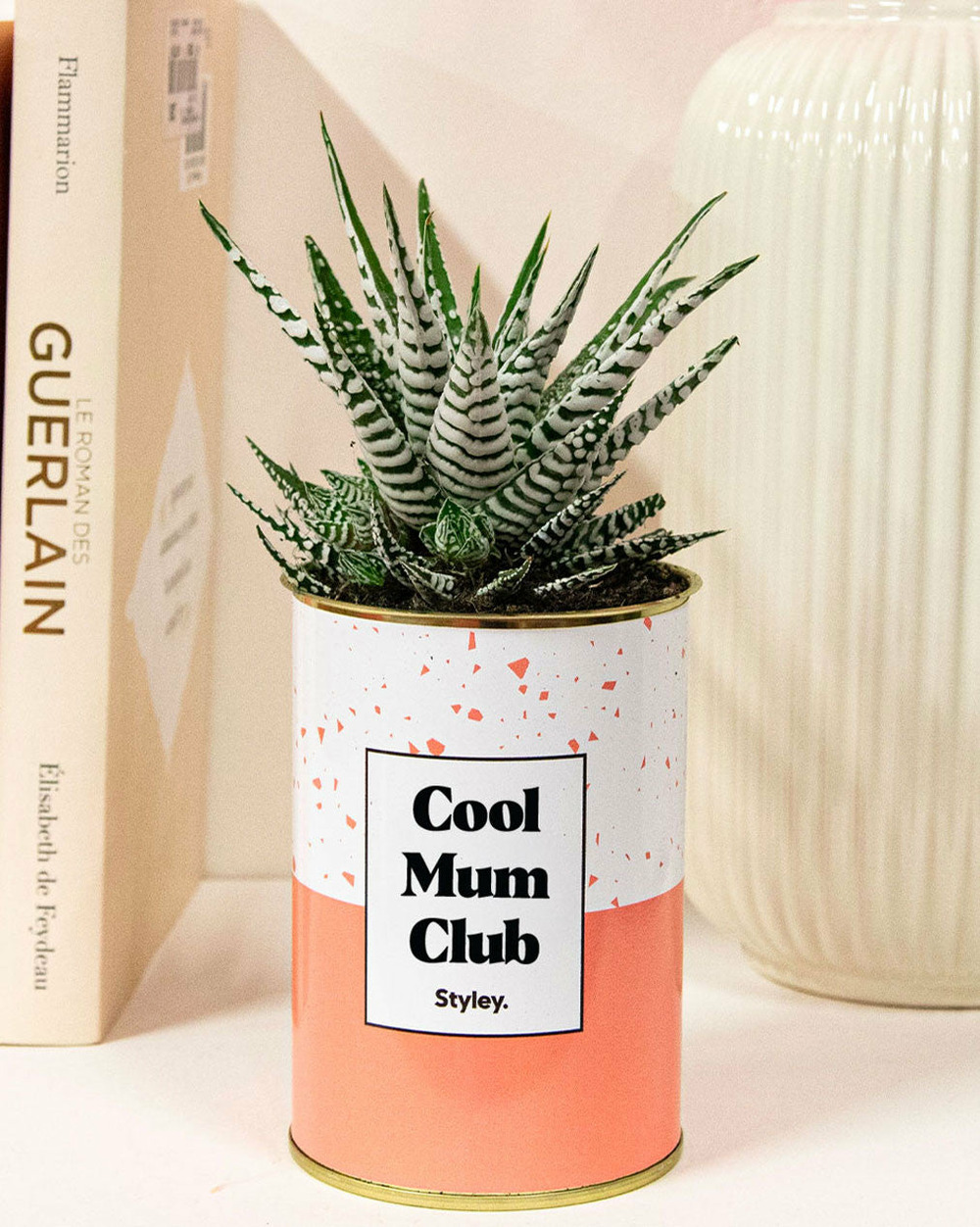 Plante personnalisée - cool mum club - plante grasse
