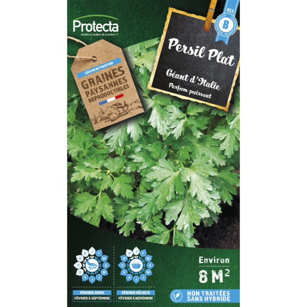 Graines paysannes - persil plat géant d'italie