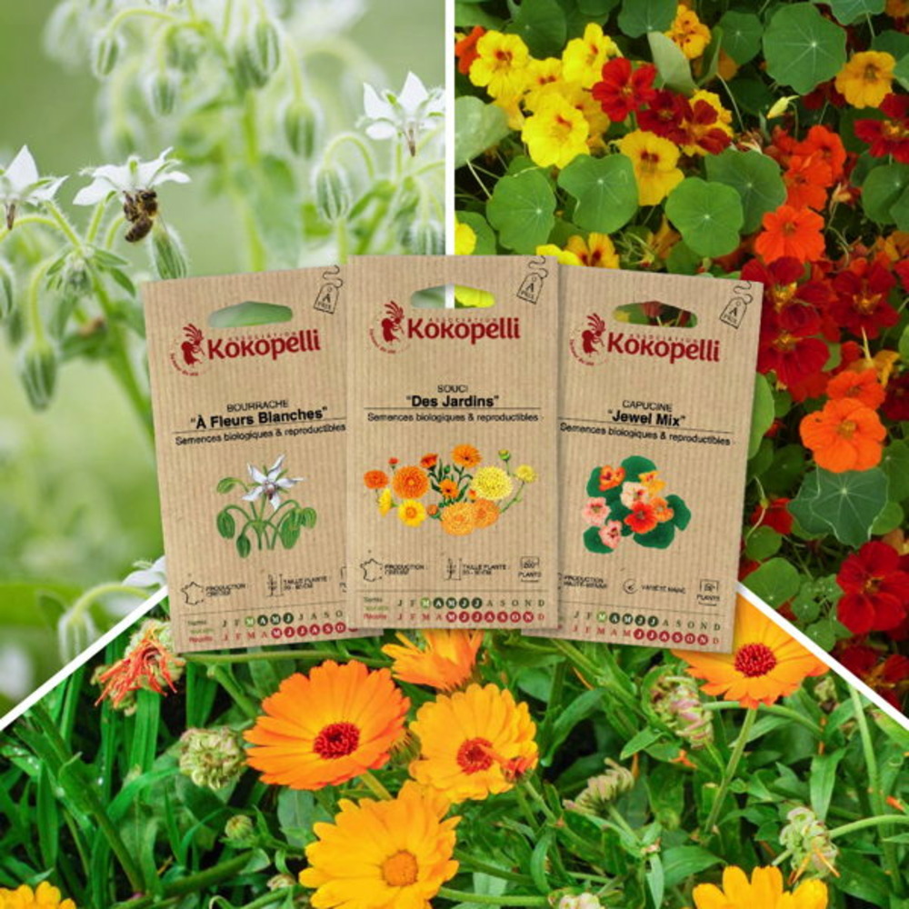 Fleurs comestibles - 3 sachets de graines bio à semer