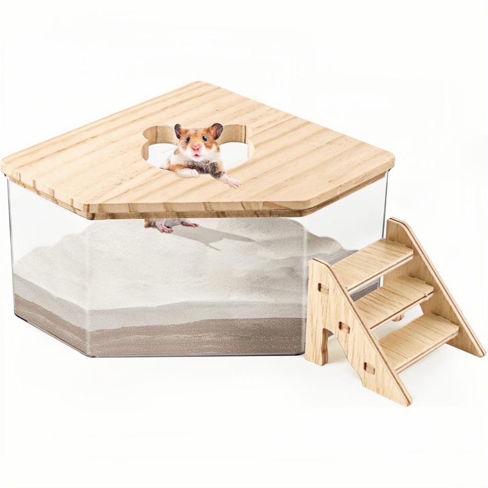 Bac de bain de sable - pentagon avec échelle