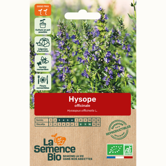 Hysope officinale - graines bio