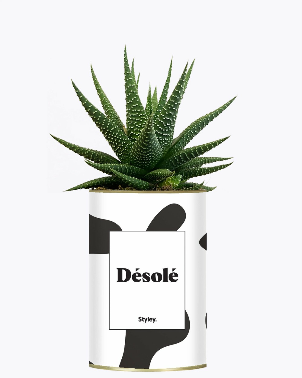 Idée cadeau - désolé - cactus