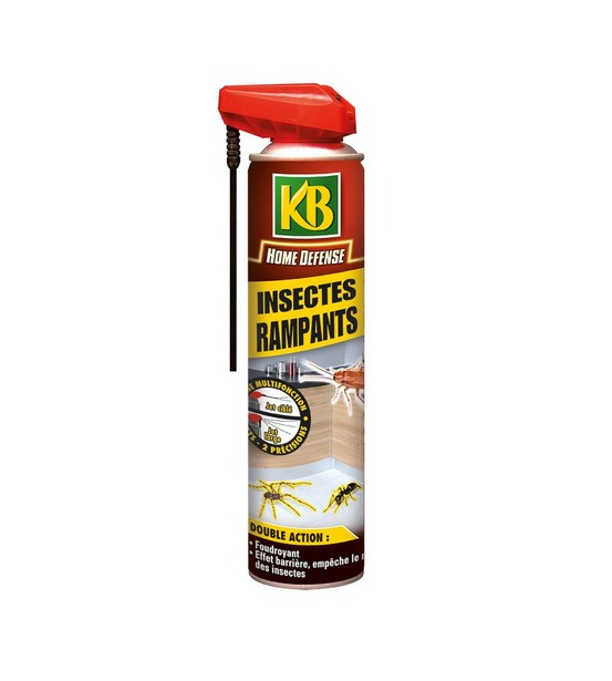 Aerosol insectes rampants 400 ml