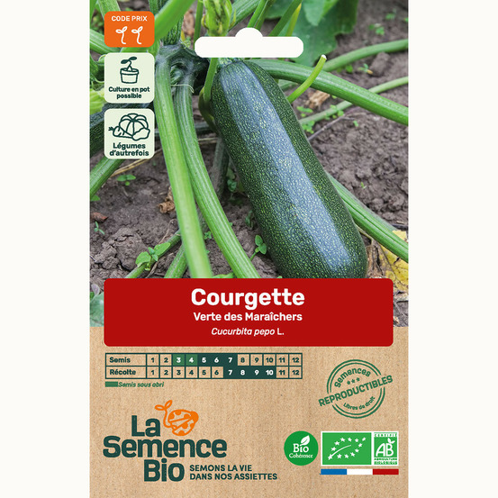 Courgette verte des maraîchers - graines bio