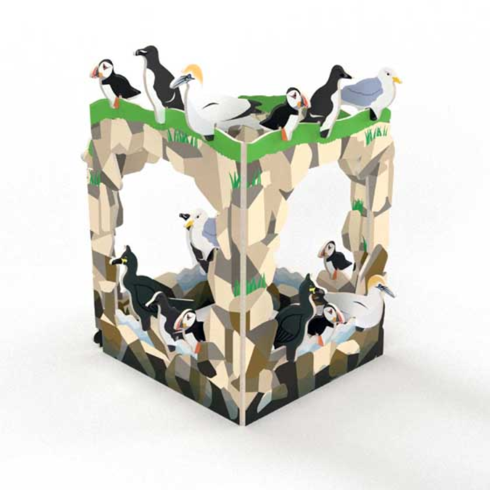 Playpress : kit de jeux oiseaux des falaises et côtes rocheuses